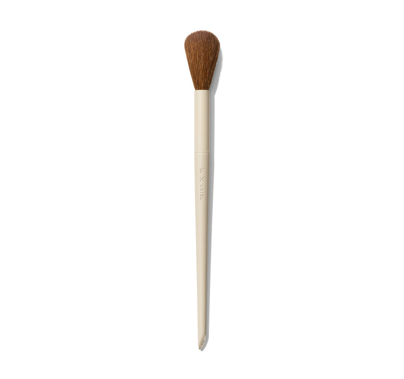 Morphe X Ariel A22 Blush Brush