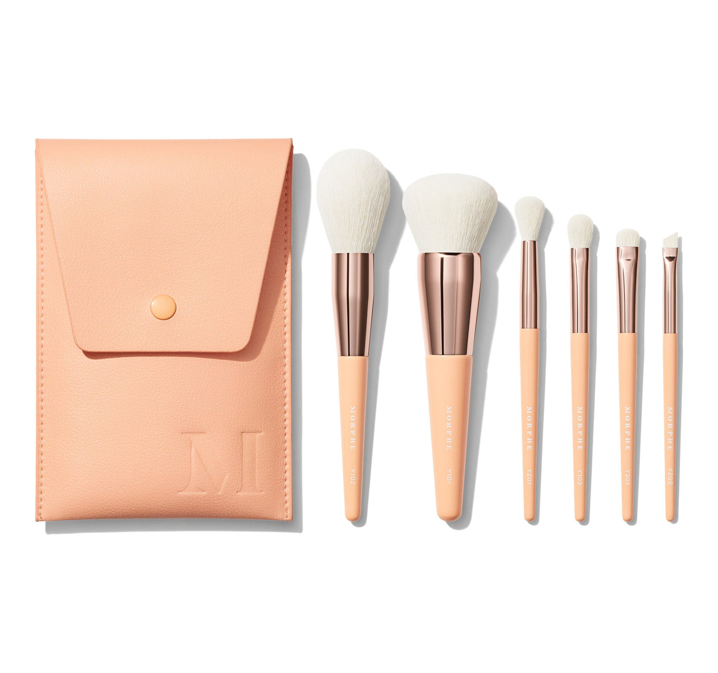 Morphe newest Brush Lot